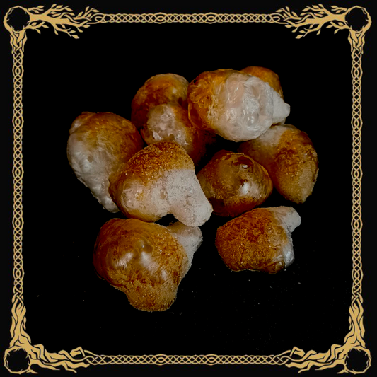 Schwudi Nuggets